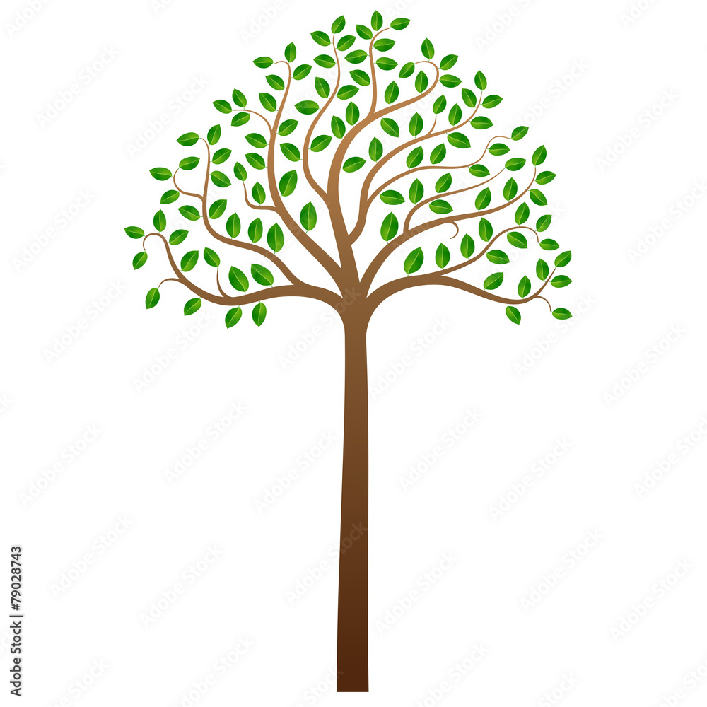 Green tree on white background, vector illustration