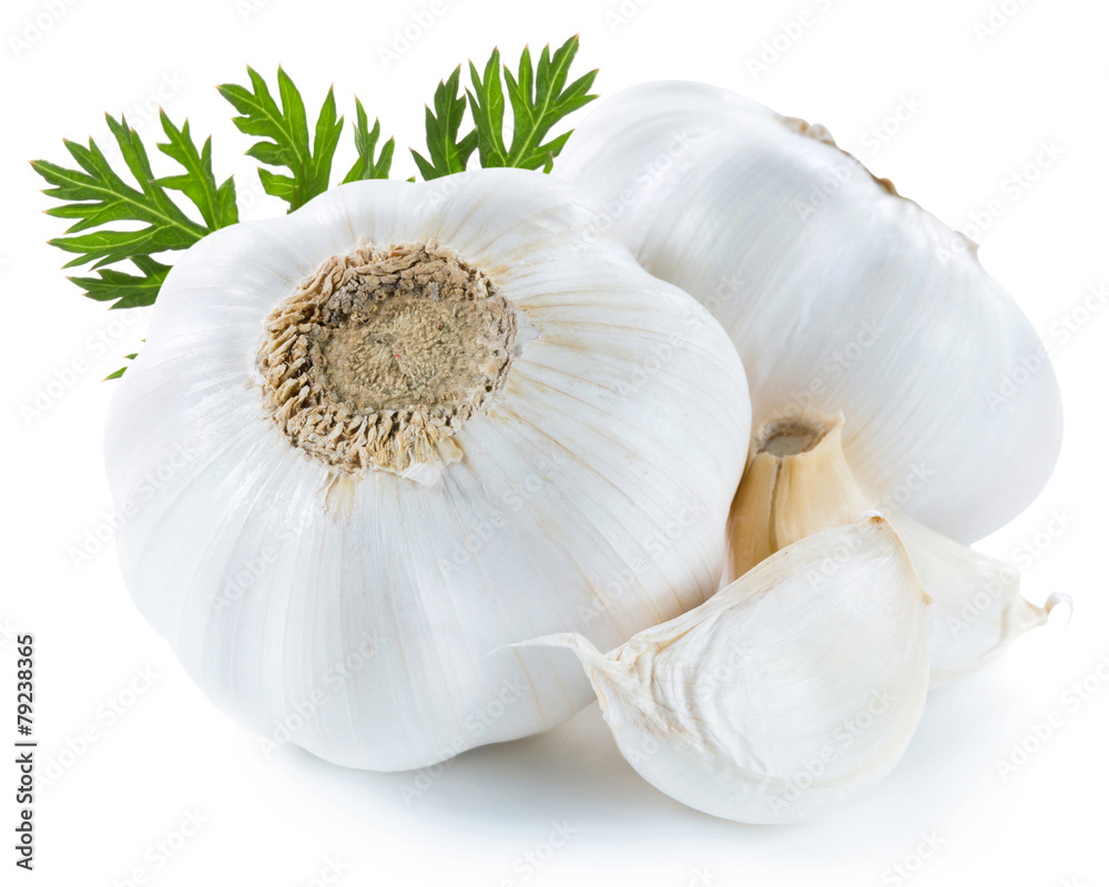 garlic