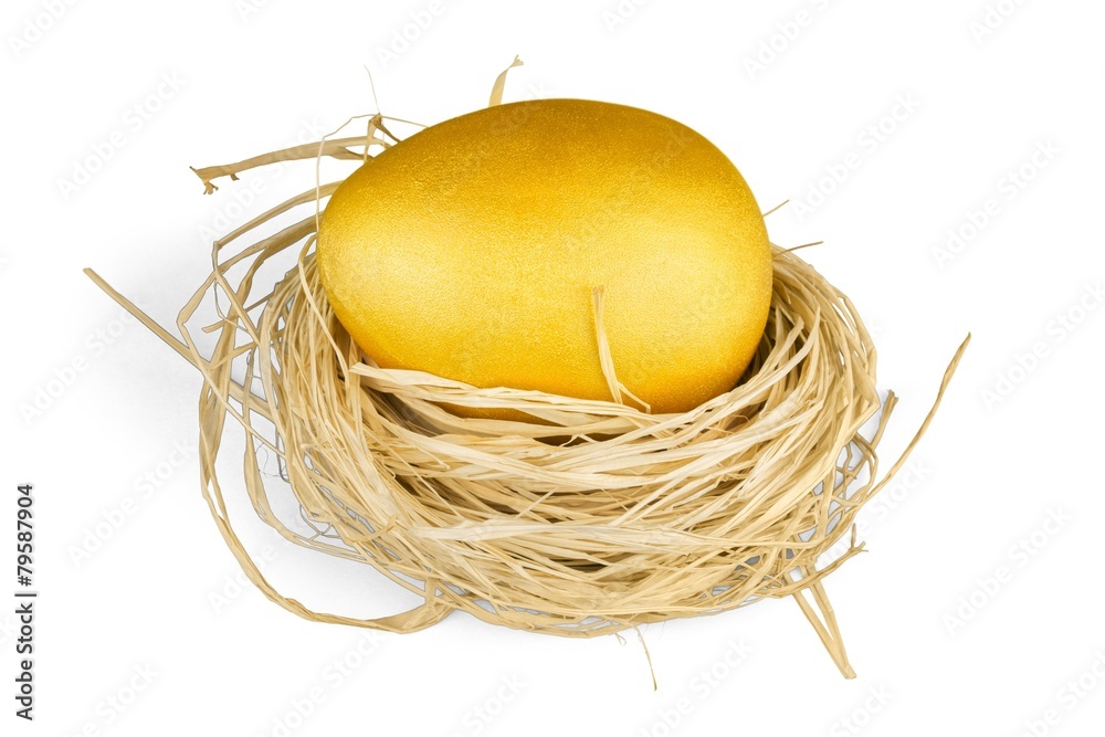 Golden nest egg