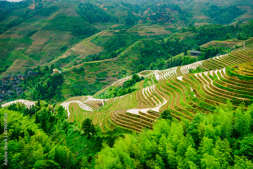 中国广西瑶山水稻梯田