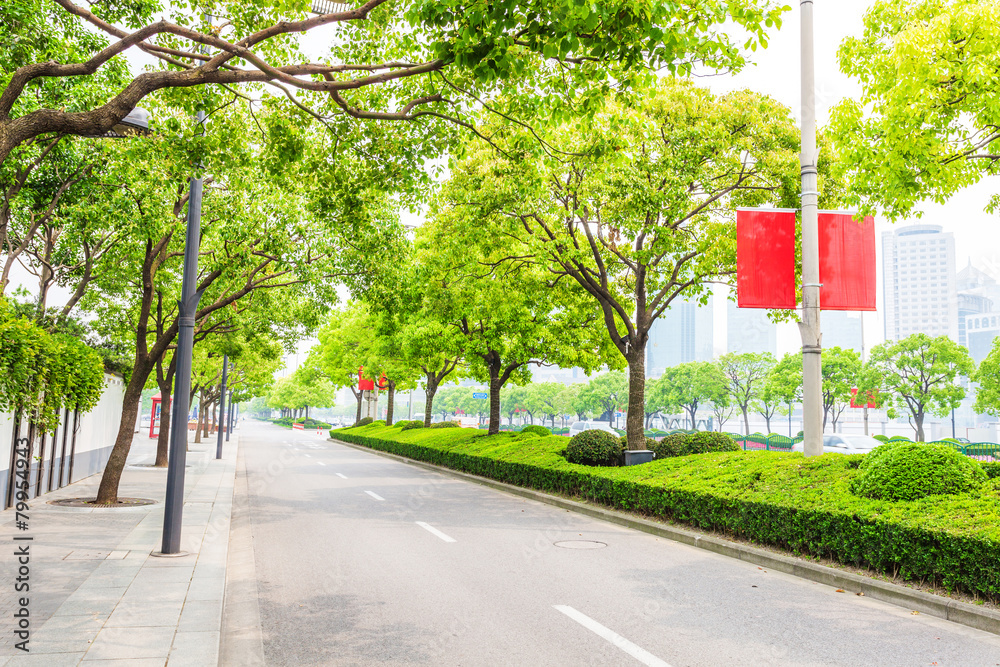 现代城市中绿树成荫的道路