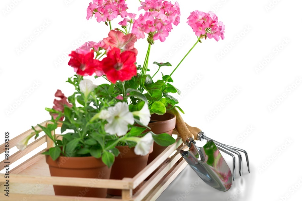 Gardening. Outdoor gardening tools and flowers