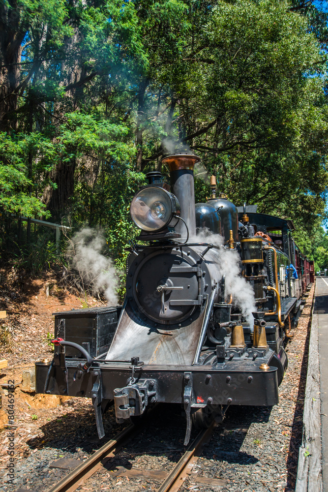 Puffing Billy steam train