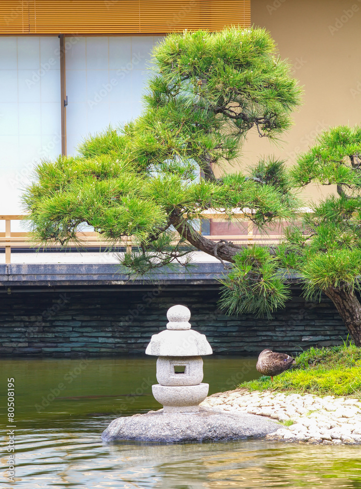 Natural Japanese green garden in summer season