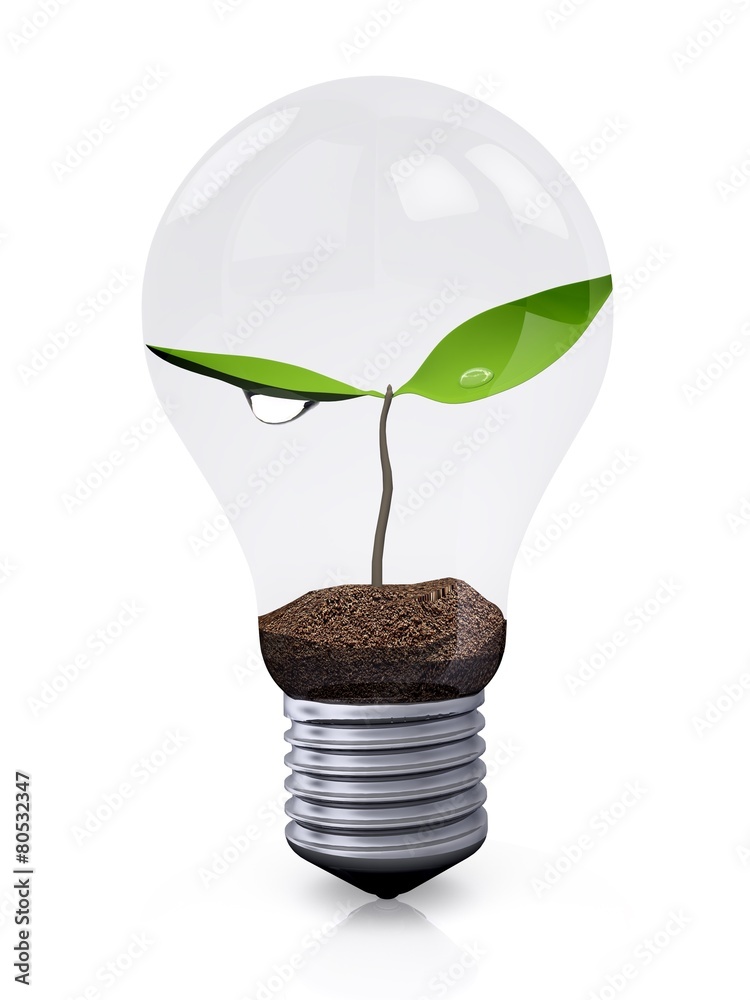 Light Bulb. 3D. Light bulb with plant