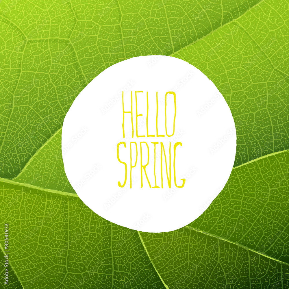 Hello Spring Text on Green Leaf Texture