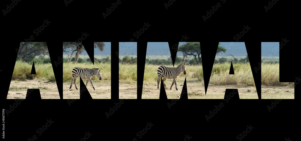 Background with word Animal