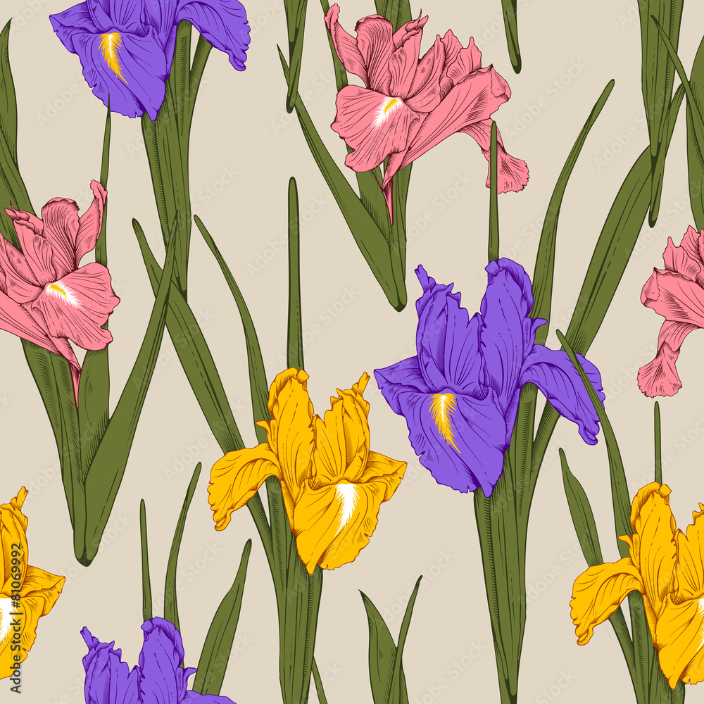 Floral seamless pattern - iris