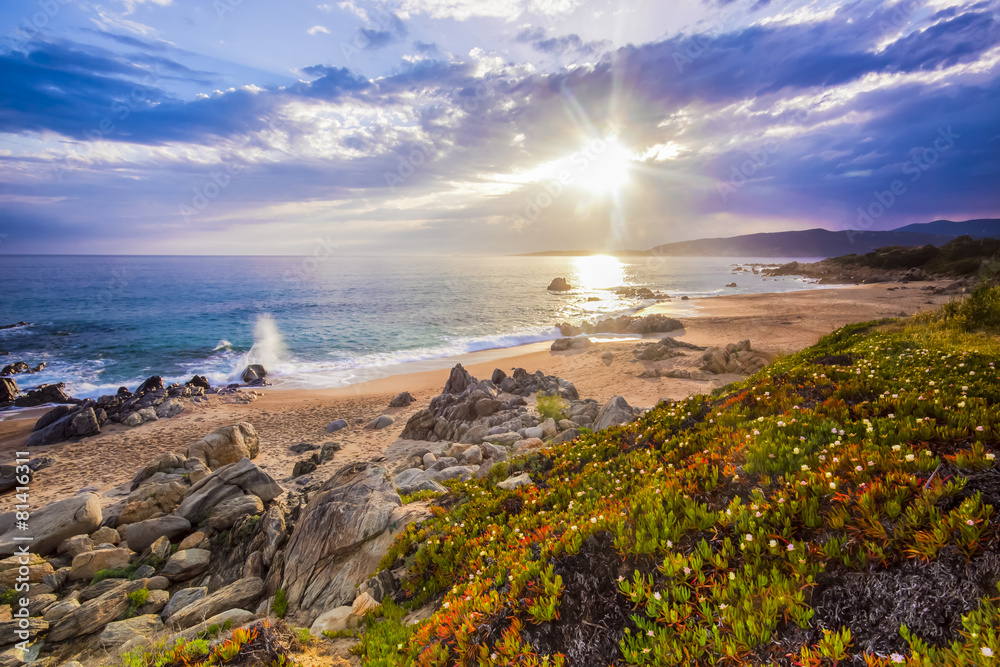 Coastal landscape on Corse, France, Europe.