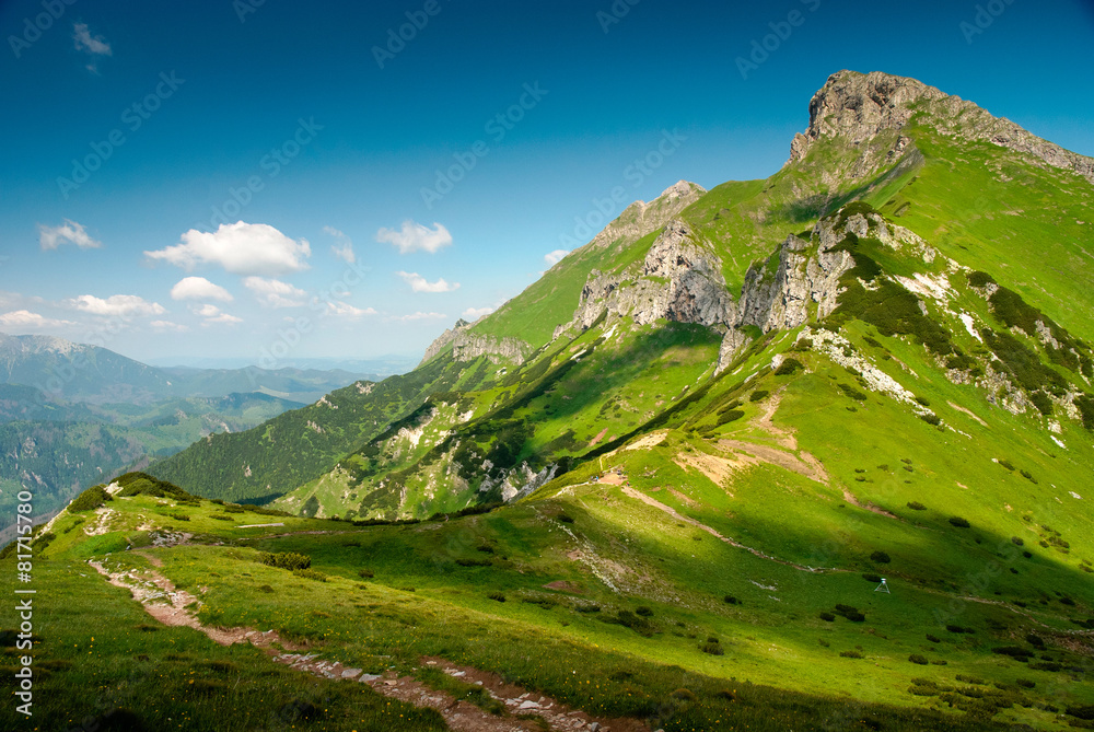 青山风景