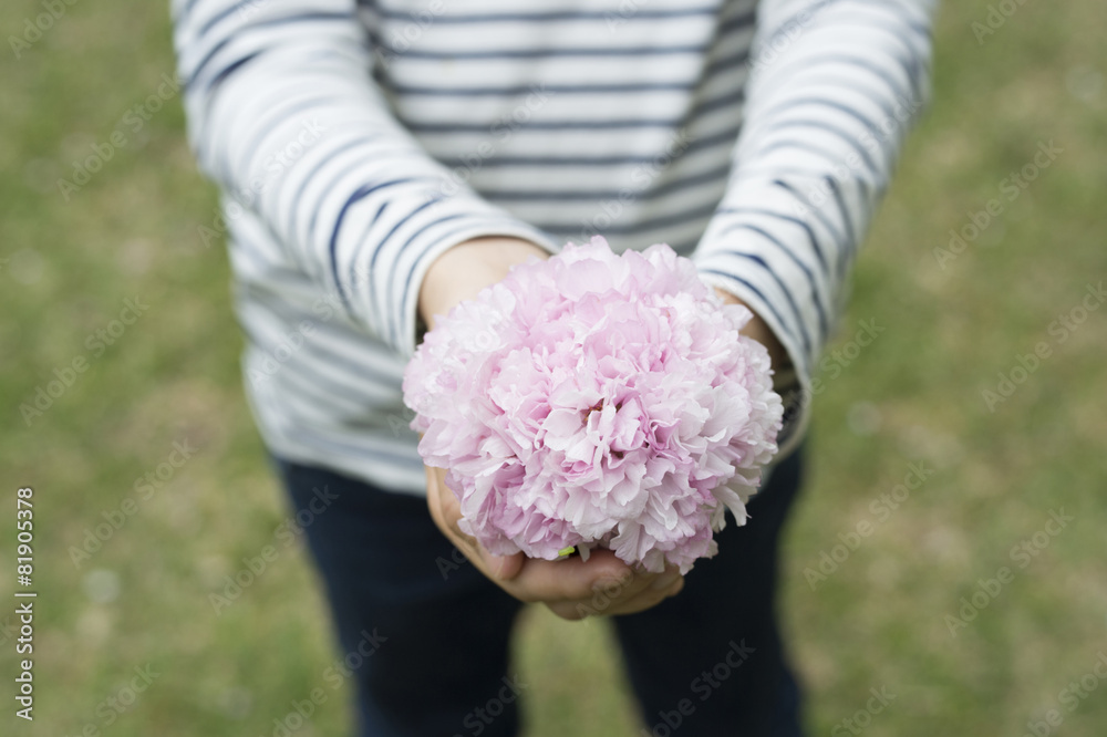 女孩要有一朵花