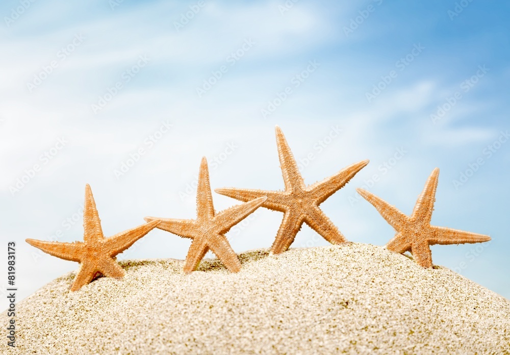 Starfish. Starfish  with ocean , beach and seascape, shallow dof