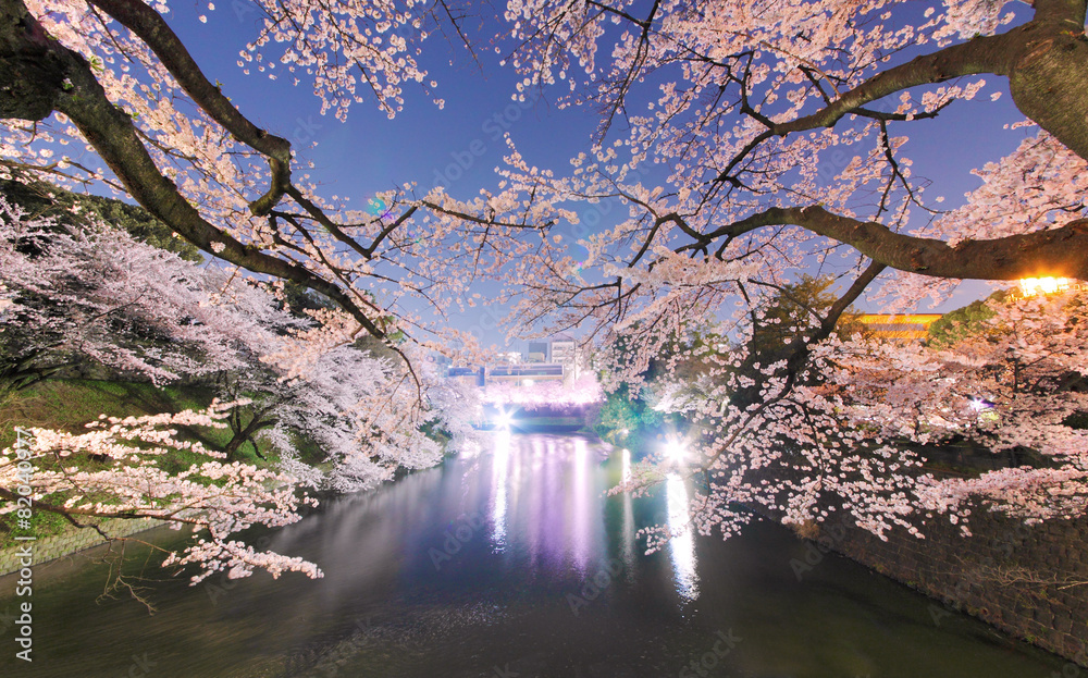 千鳥ヶ淵の夜桜