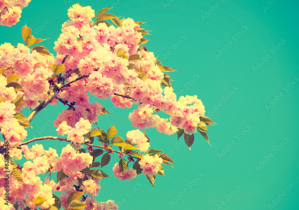 Spring blossom. Beautiful nature scene with blooming tree