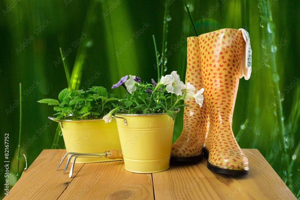 Gardening. Outdoor gardening tools  on old wood table