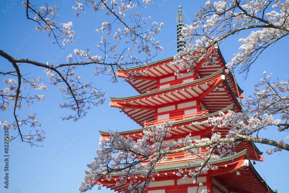 Japan red pagoda with sakura cherry blossom in spring season