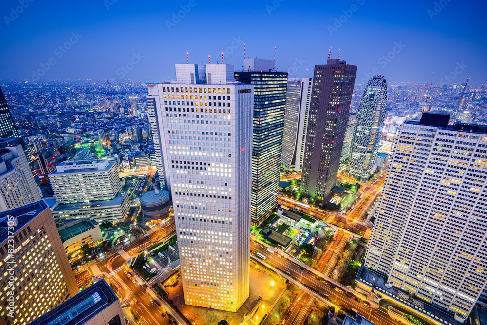 Shinjuku, Tokyo, Japan Cityscape