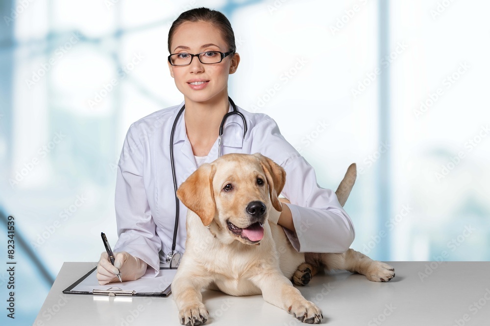 Charles. Young positive brunette veterinary woman with spaniel