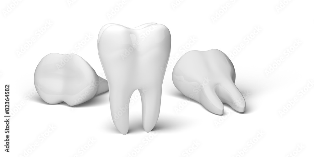 人类牙齿.3D.Tooth