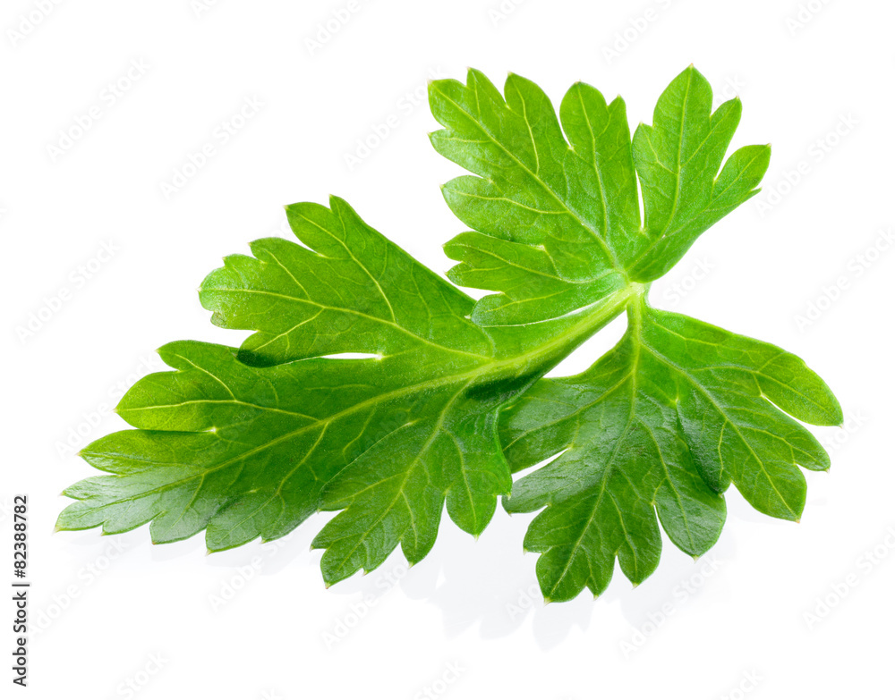 Parsley isolated on white background.