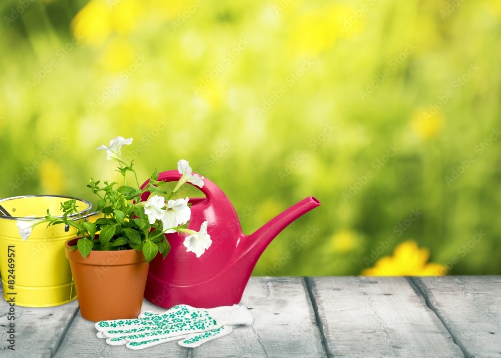 Gardening. Gardening Isolated on White Hz