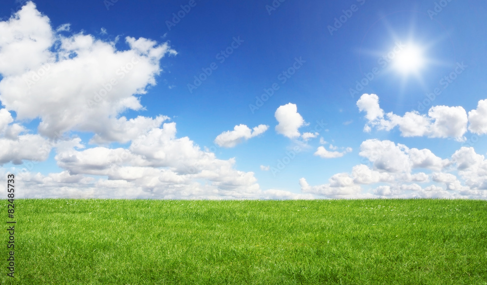 Green field and blue sky