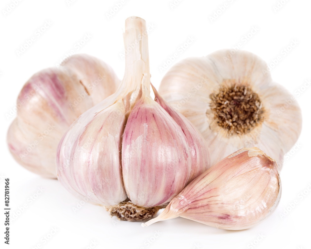 Garlic