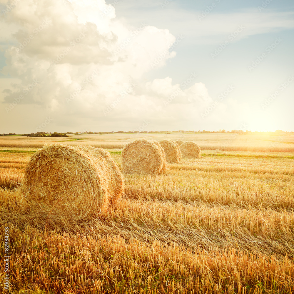 Summer Farm Scenery with Haystack