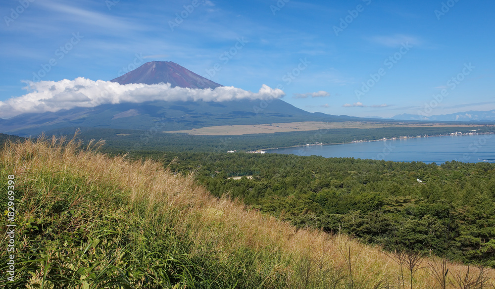 夏季富士山和山那角湖