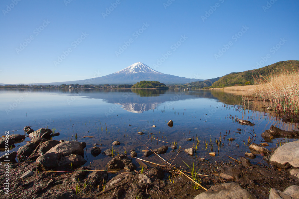 春天川口湖的富士山倒影