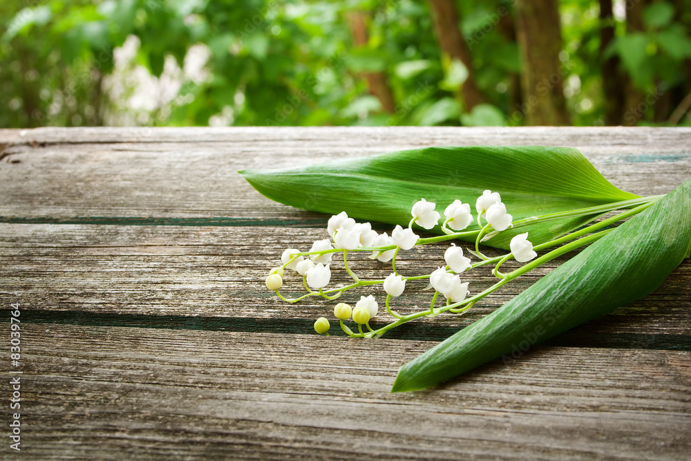 Lily flowers on wooden background