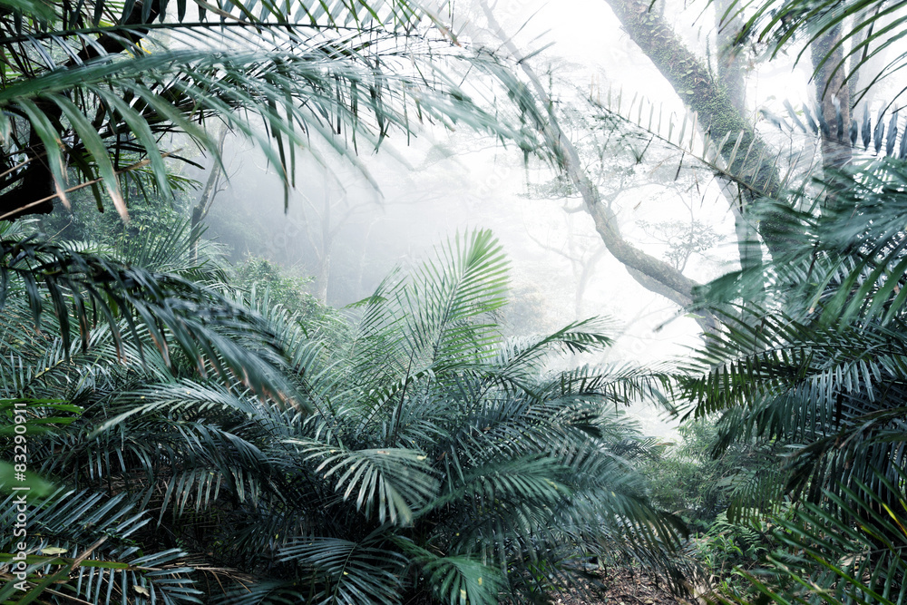 Trees bush in forest