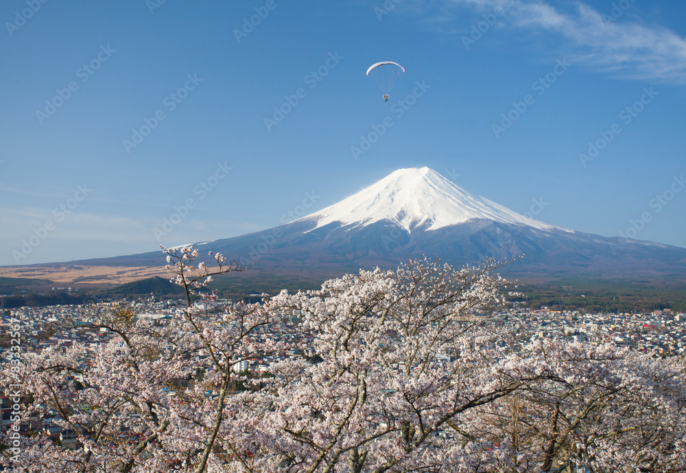 Mountain Fuji and sakura cherry blossom in Japan spring season.