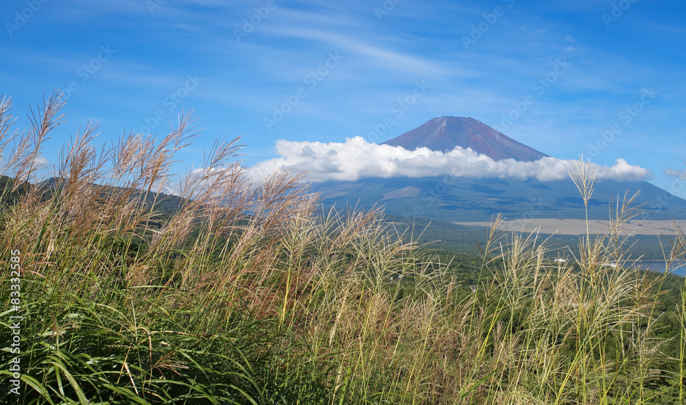 Mountain Fuji and lake yamanakako in summer season