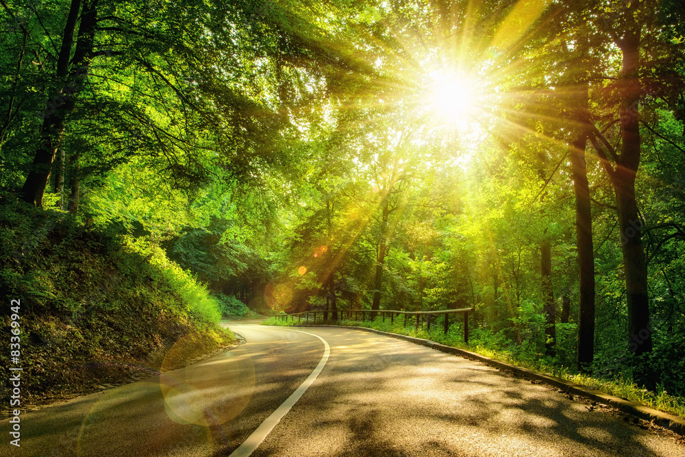 Stimmungsvolle Straße im Wald