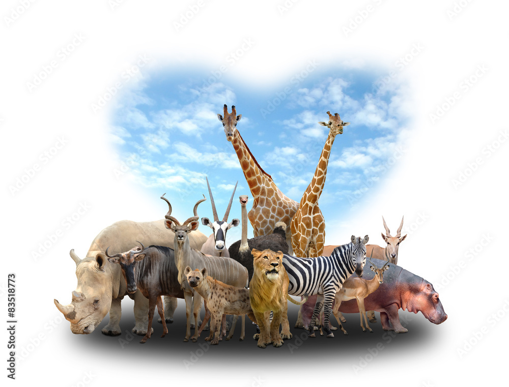 group of africa animals