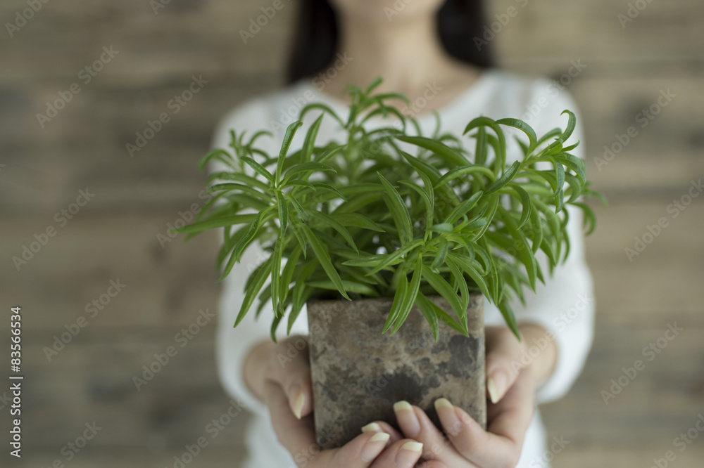 Women have a small plant