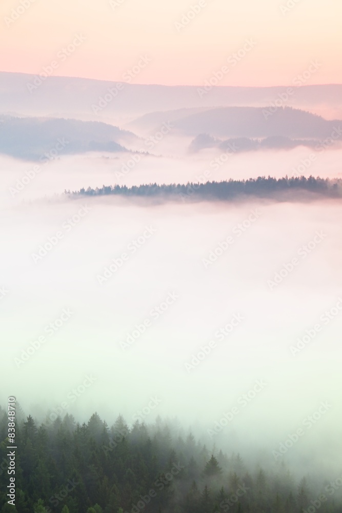 Beautiful hills are sticking out from red  fog in  sun rays.