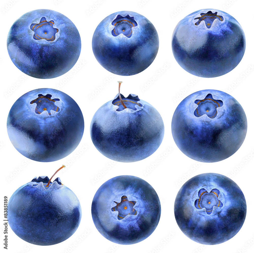 Collection of blueberries