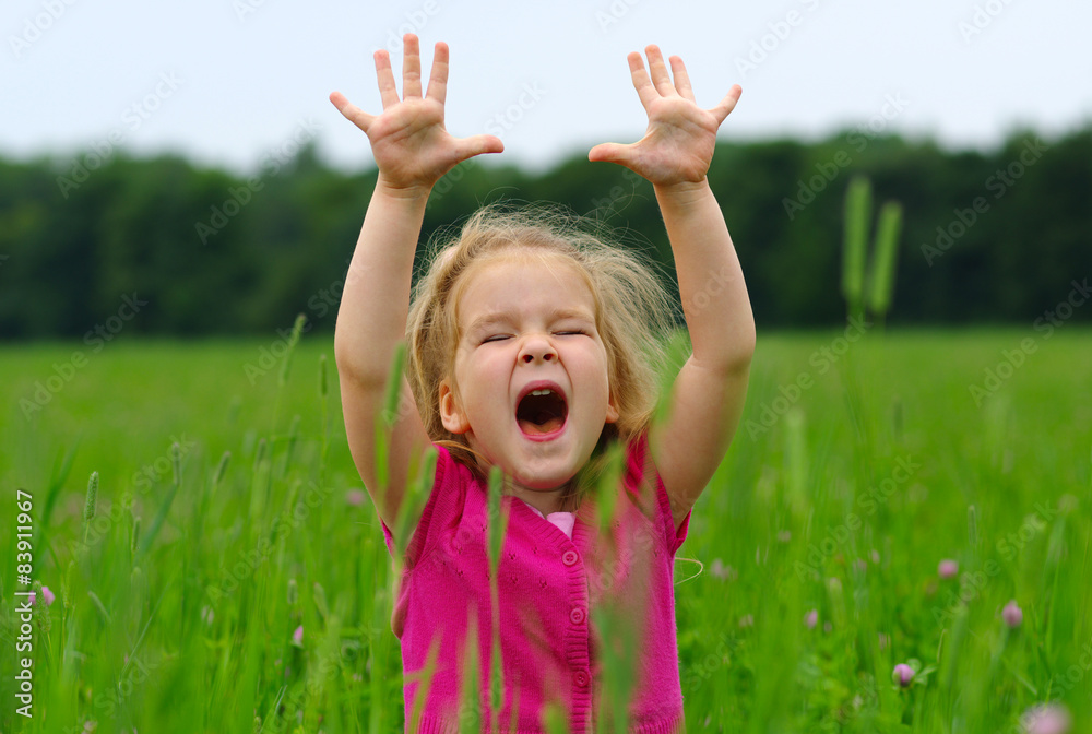  girl on the meadow