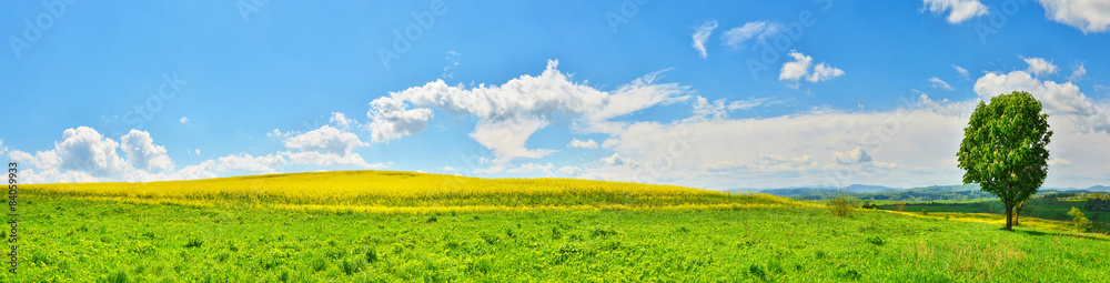 绿树成荫的春田全景