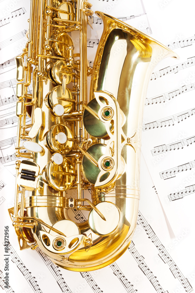 View of shiny golden alto saxophone bow part