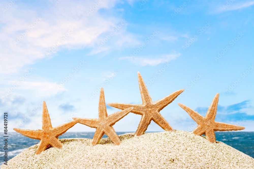 Starfish, ocean, beach.