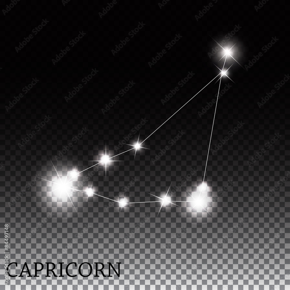 Capricorn Zodiac Sign of the Beautiful Bright Stars Vector Illus