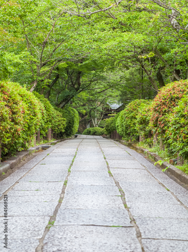 夏季的日式花园和混凝土通道