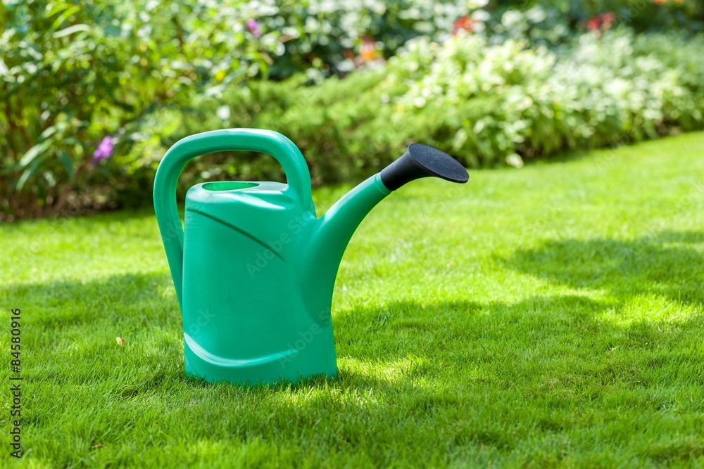 Front or Back Yard, Ornamental Garden, Watering Can.