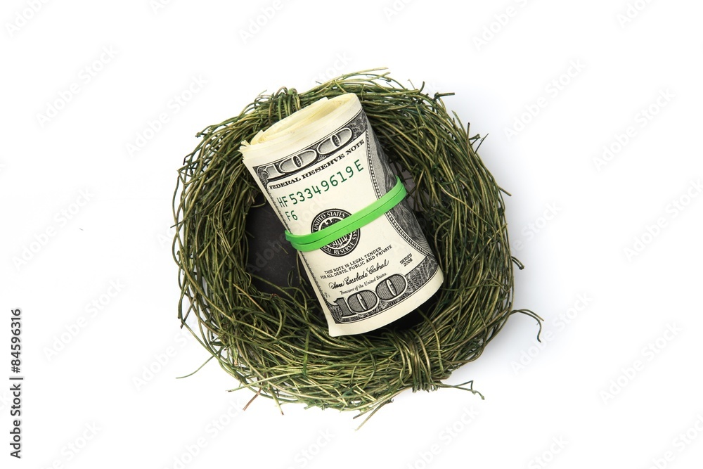 Retirement, Nest Egg, Animal Nest.