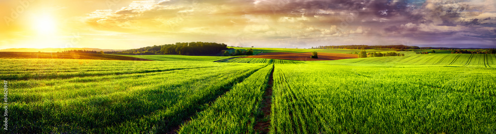 Rural landscape sunset panorama