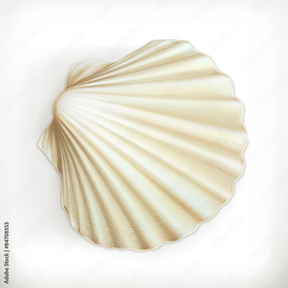 Seashell, vector icon