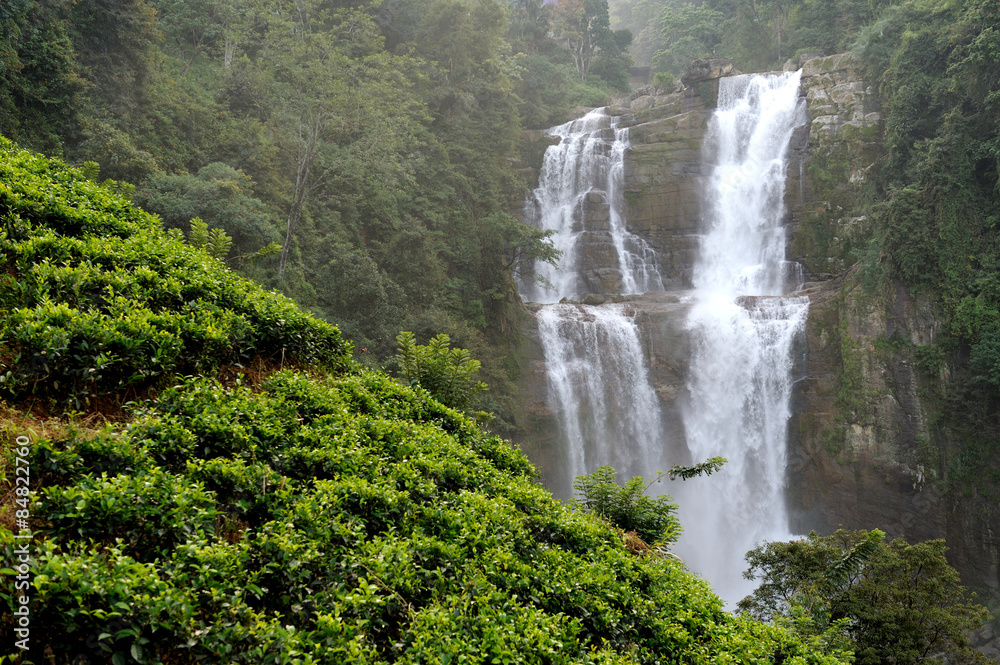 Beautiful waterfall in Sri Lanka